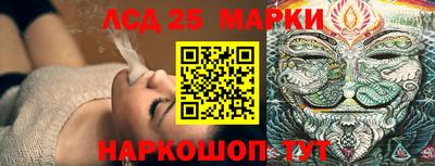 гидропоника Краснознаменск