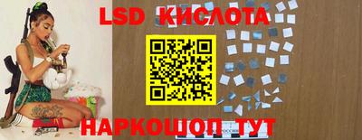 гидра Краснодар