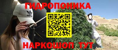 гидропоника Краснознаменск