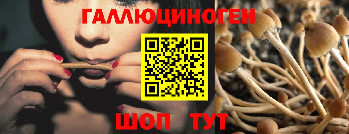 Псилоцибиновые грибы мухоморы Знаменск