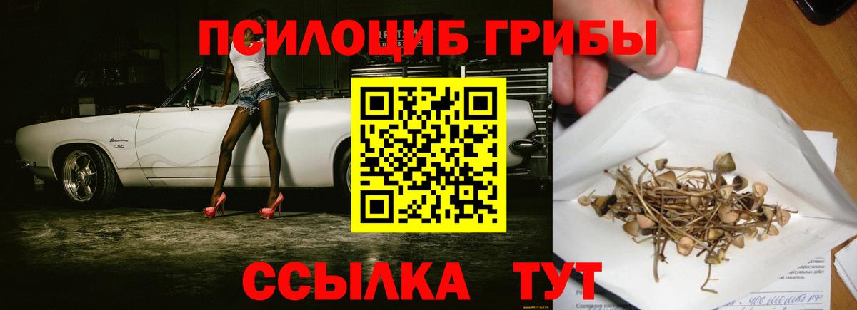 Галлюциногенные грибы MAGIC MUSHROOMS  Вход с VPN  Галлюциногенные грибы Magic Shrooms  Знаменск 
